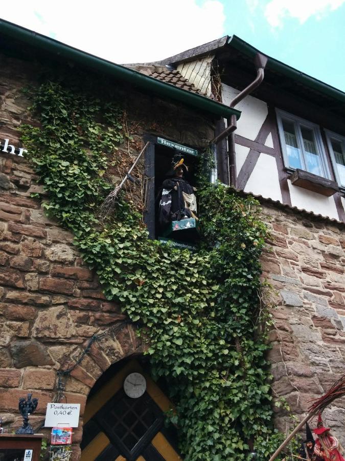 Ferienhaus Wernigerode "Am Schlossbuehel" 5 Schlafzimmer 外观 照片