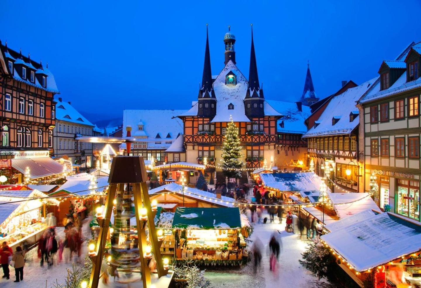 Ferienhaus Wernigerode "Am Schlossbuehel" 5 Schlafzimmer 外观 照片